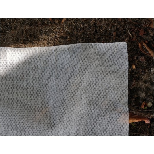 AGROWŁÓKNINA 50 G - 1,6X50M -zdjęcie numer 3