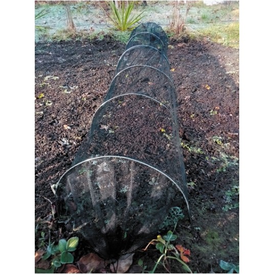 CZARNY TUNEL OCHRONY ROŚLIN -zdjęcie numer 1
