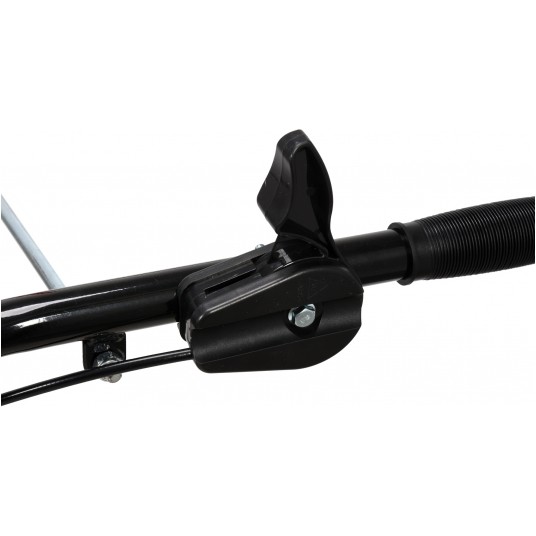 GLEBOGRYZARKA SPALINOWA -zdjęcie numer 3