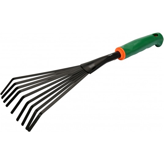 GRABKI WACHLARZOWE -zdjęcie numer 1