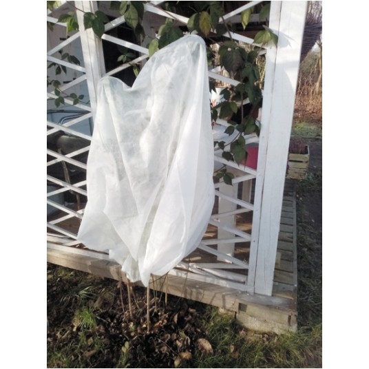 KAPTUR OCHRONNY DLA ROŚLIN -zdjęcie numer 1