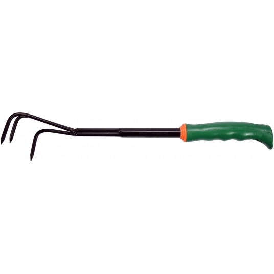 PAZURKI -zdjęcie numer 2