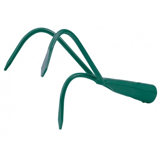 PAZURKI WĄSKIE nieopraw. FLO -zdjęcie numer 1