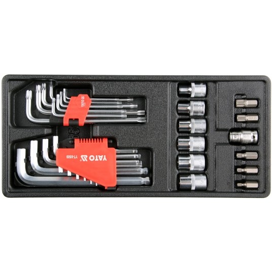 WKŁAD DO SZUFLADY HEX,TORX, NASADKI 31CZ -zdjęcie numer 1