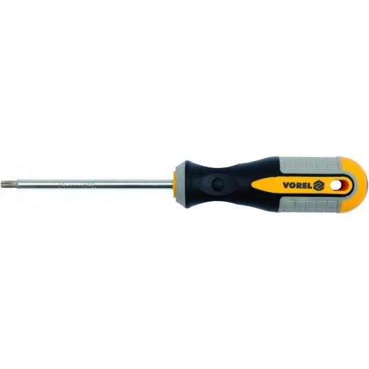 WKRĘTAK TORX T20X100MM CrV -zdjęcie numer 1