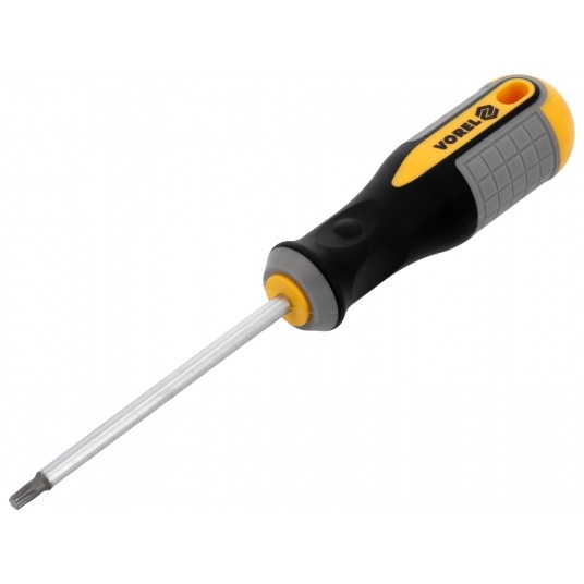 WKRĘTAK TORX T25X100MM CrV -zdjęcie numer 2