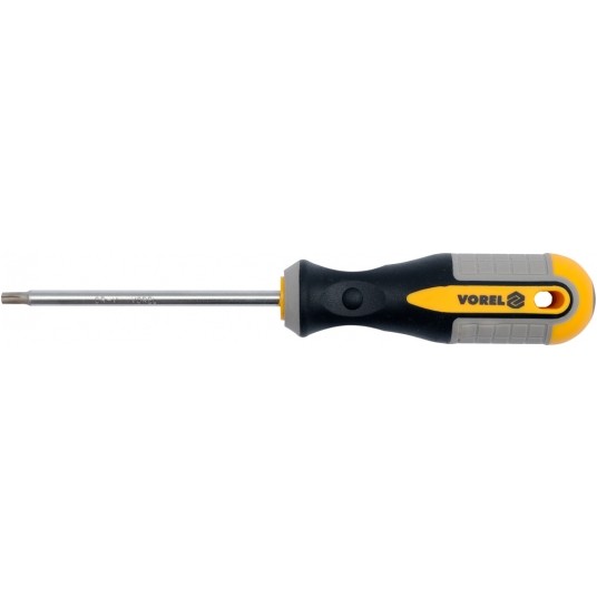 WKRĘTAK TORX T25X100MM CrV -zdjęcie numer 1