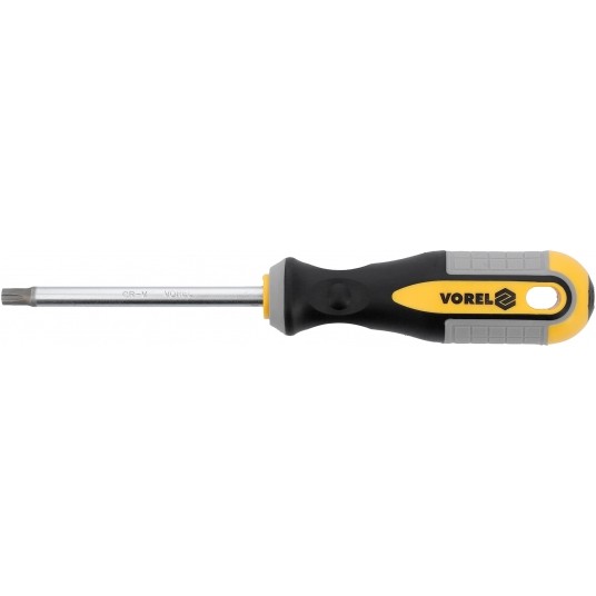 WKRĘTAK TORX T40X100MM CrV -zdjęcie numer 1