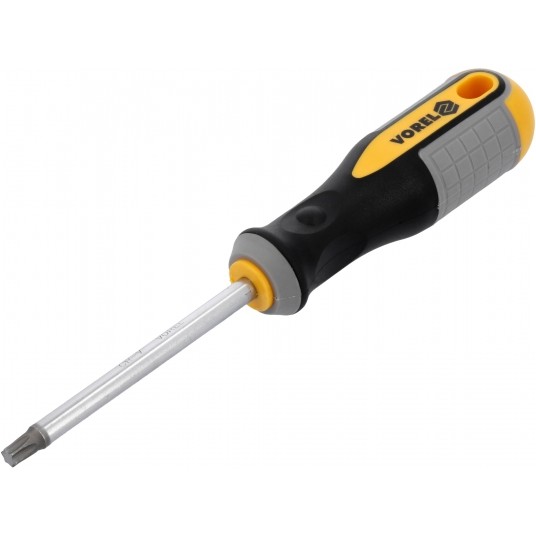 WKRĘTAK TORX T40X100MM CrV -zdjęcie numer 2
