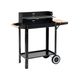 GRILL WĘGLOWY Z PÓŁKĄ, RUSZT 48,5X26CM -zdjęcie numer 3