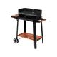 GRILL WĘGLOWY Z PÓŁKĄ, RUSZT 48X26.5CM -zdjęcie numer 1