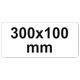 ŚCISK ZAPADKOWY 300 MM -zdjęcie numer 2