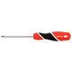 WKRĘTAK TORX SECURITY T25x100MM -zdjęcie numer 1