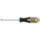 WKRĘTAK TORX T25X100MM CrV -zdjęcie numer 1