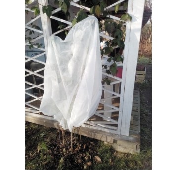 KAPTUR OCHRONNY DLA ROŚLIN