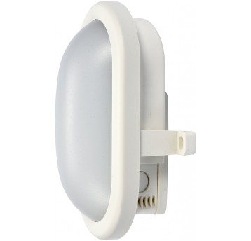 LAMPA NAŚCIENNA OWALNA LED 8W
