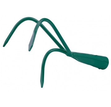 PAZURKI WĄSKIE nieopraw. FLO