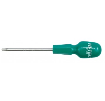 WKRĘTAK HI-TEC T25X100MM-SECURITY