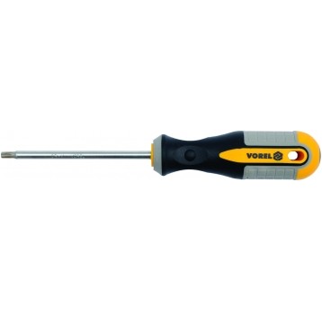 WKRĘTAK TORX T20X100MM CrV