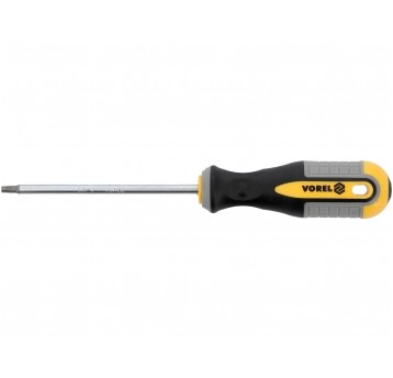 WKRĘTAK TORX T20X100MM CrV