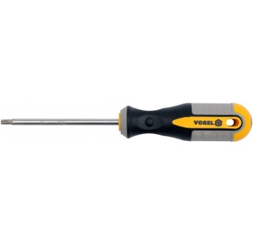 WKRĘTAK TORX T25X100MM CrV