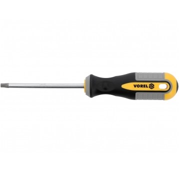 WKRĘTAK TORX T30X100MM CrV