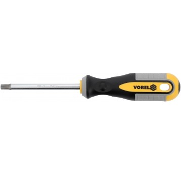 WKRĘTAK TORX T40X100MM CrV