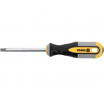 WKRĘTAK TORX T40X100MM CrV